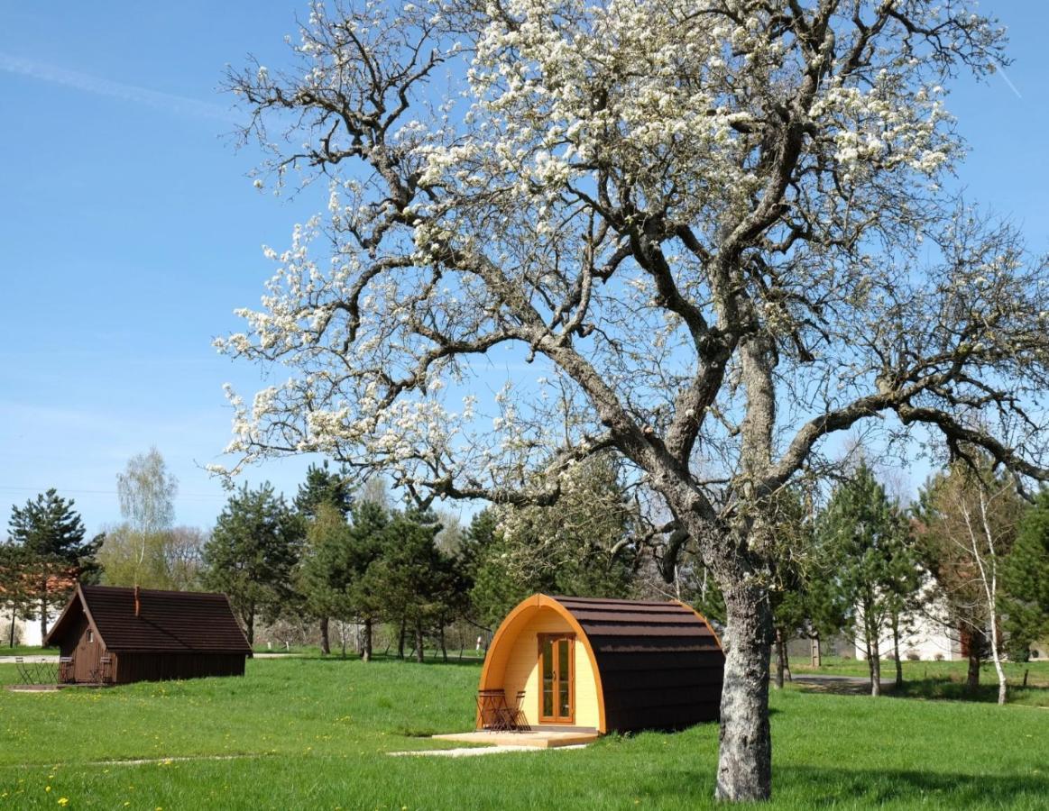 Вилла Domaine De La Grangee La Chapelle-Blanche-Saint-Martin Экстерьер фото