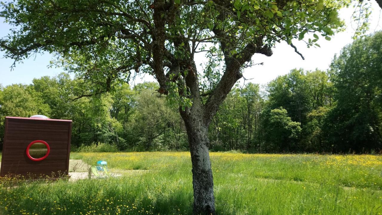 Вилла Domaine De La Grangee La Chapelle-Blanche-Saint-Martin Экстерьер фото